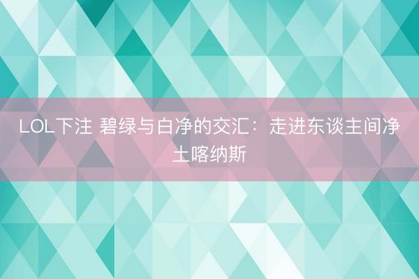 LOL下注 碧绿与白净的交汇：走进东谈主间净土喀纳斯