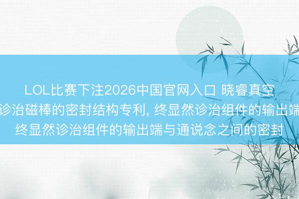 LOL比赛下注2026中国官网入口 晓睿真空获取磁控溅射用在线诊治磁棒的密封结构专利， 终显然诊治组件的输出端与通说念之间的密封