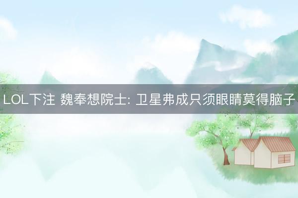LOL下注 魏奉想院士: 卫星弗成只须眼睛莫得脑子