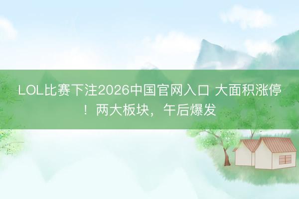 LOL比赛下注2026中国官网入口 大面积涨停！两大板块，午后爆发