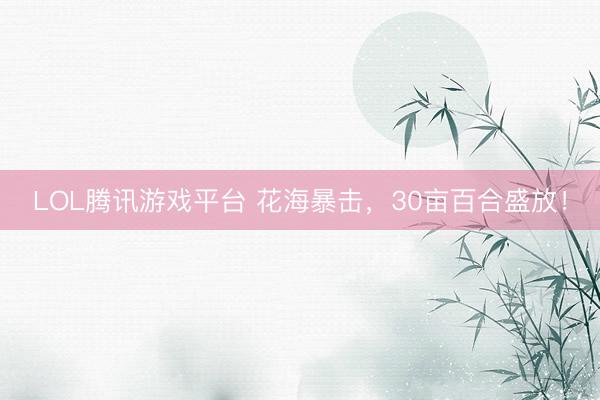 LOL腾讯游戏平台 花海暴击，30亩百合盛放！