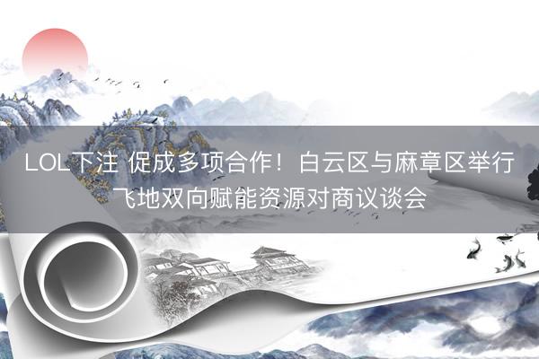 LOL下注 促成多项合作！白云区与麻章区举行飞地双向赋能资源对商议谈会